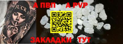 спиды Гусев