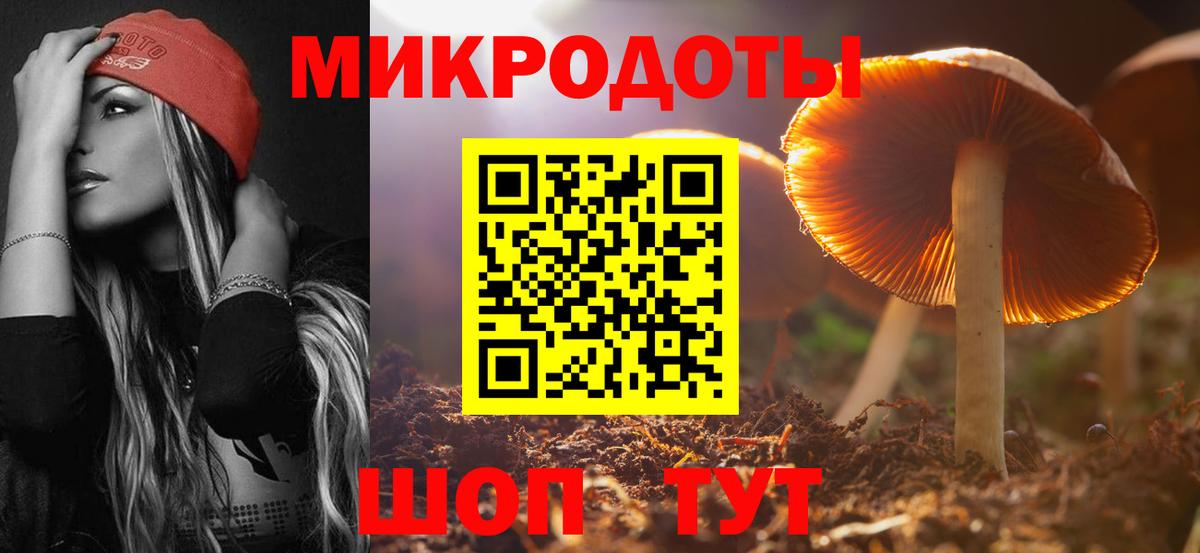 Псилоцибиновые грибы Psilocybine cubensis Железногорск